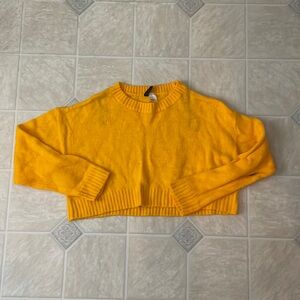 H&M Divided Cropped Sweater